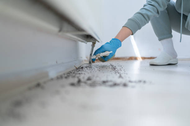 Pest Prevention Services in Independence, IA